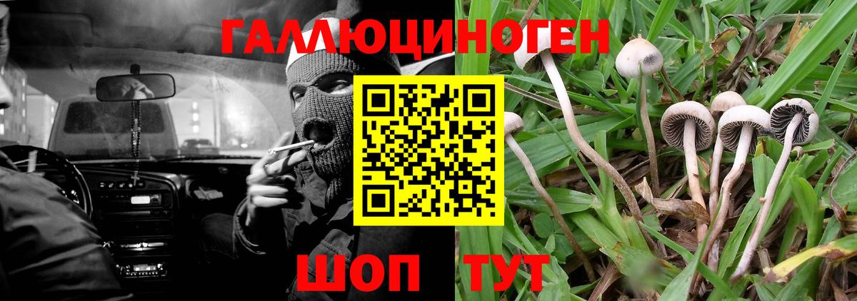 Галлюциногенные грибы мицелий Шуя