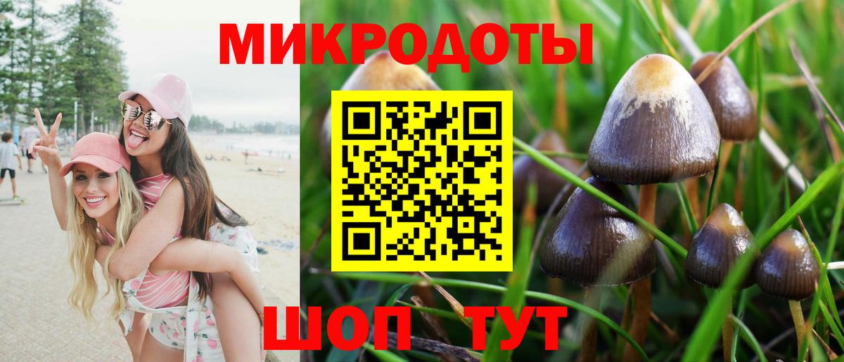 Галлюциногенные грибы мухоморы  Вход с VPN  Шуя 